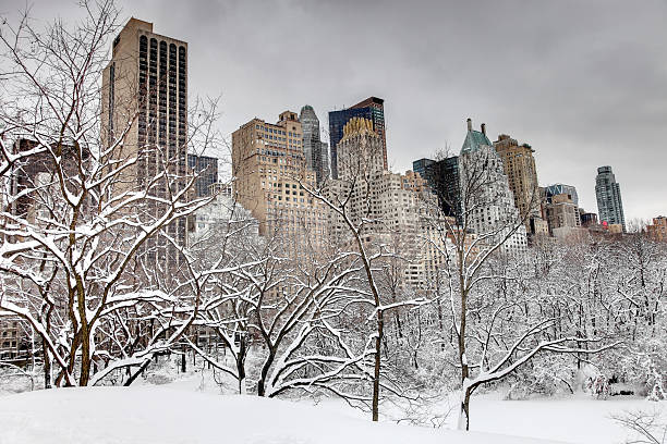 istock Winter in New York City 183411302