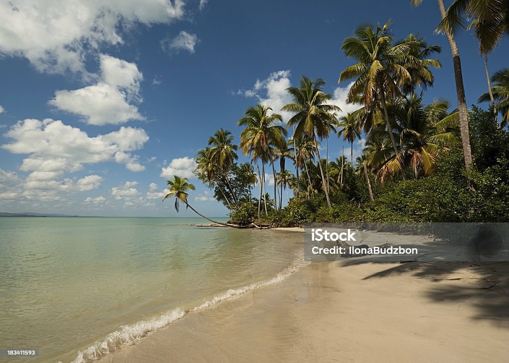 Summer paradise "Tropical Beach in Punta Cana regio, Dominican Republic" Atlantic Ocean Stock Photo