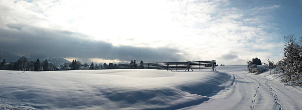 Landscape Panorama