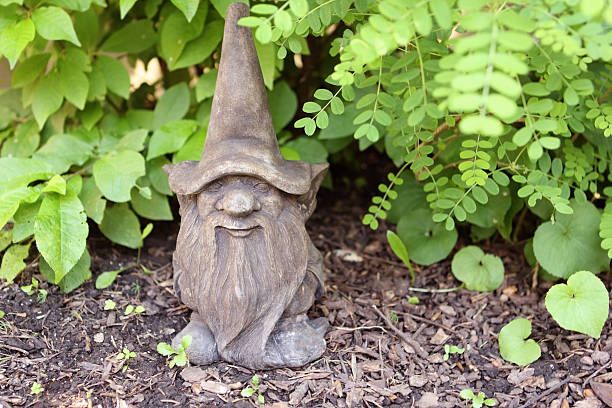 garden gnome stock photo