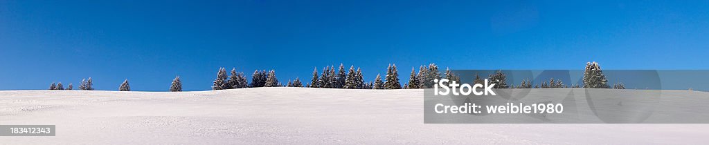 XXL Snowfield Panorama mit kleinen Bäumen - Lizenzfrei Allgäu Stock-Foto