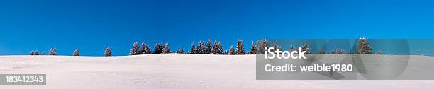 Xxl Snowfield Panorama Mit Kleinen Bäumen Stockfoto und mehr Bilder von Allgäu - Allgäu, Anhöhe, Baum