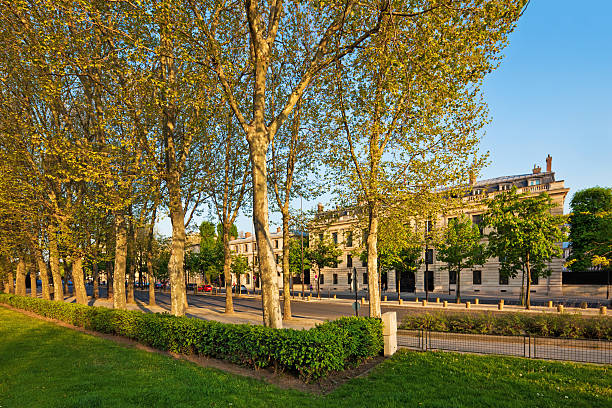 istock Paris City Apartments 183412419
