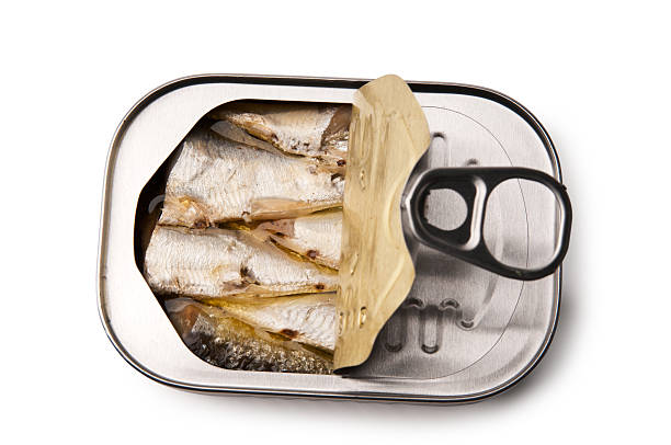 Open tin of Sardines Sardine can isolated on white with clipping path.Other images in this series: sardine stock pictures, royalty-free photos & images