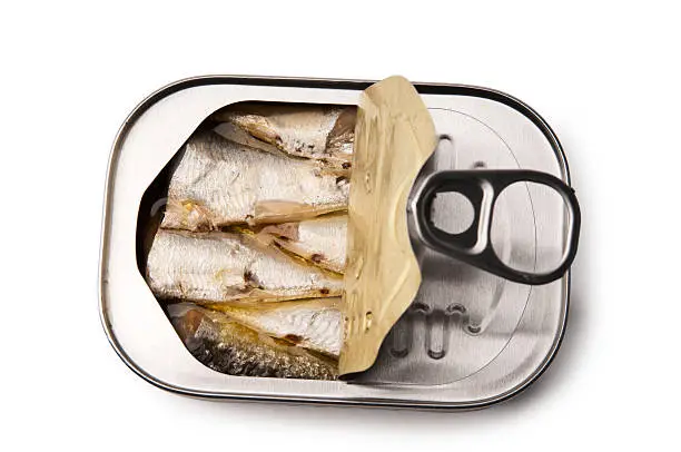 Sardine can isolated on white with clipping path.Other images in this series:
