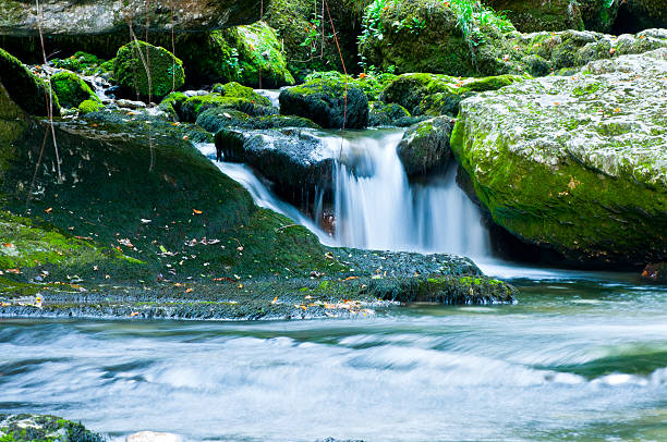 corriente de agua - flowing water stream moss river fotografías e imágenes de stock