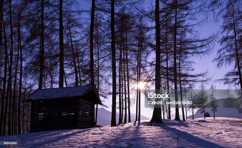 Schatten der Bäume in violet "winter sun" - Lizenzfrei Abgeschiedenheit Stock-Foto