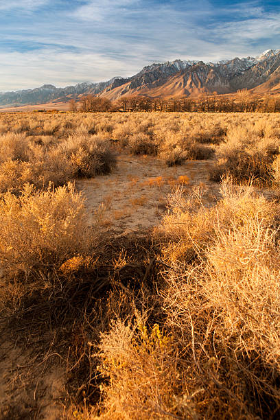 istock Sierra Nevada mountains California 183413526