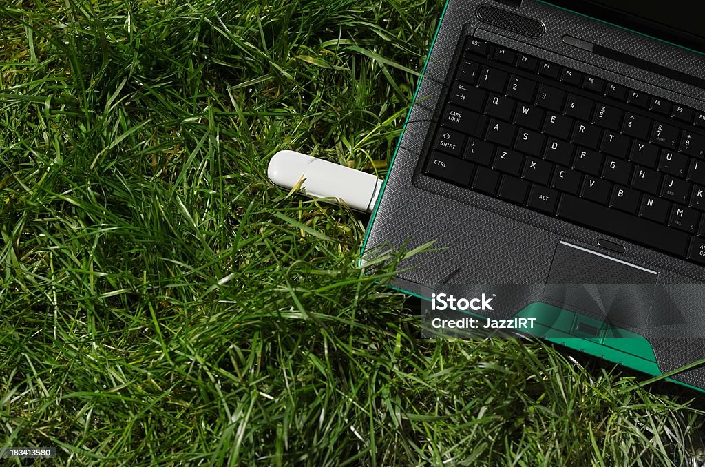 Laptopa na trawie - Zbiór zdjęć royalty-free (Bez ludzi)