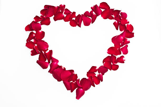 heart made of roses