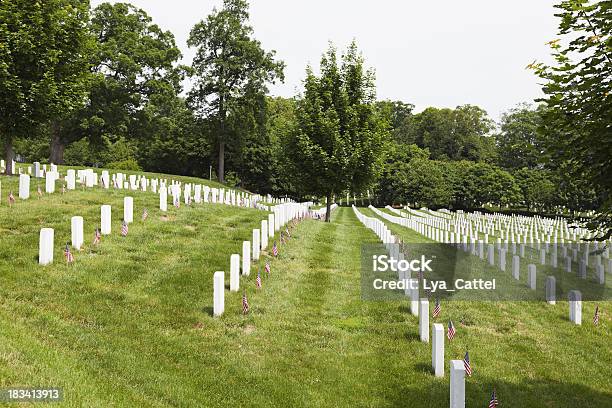 Вашингтонарлингтон 3 Xxxl — стоковые фотографии и другие картинки Арлингтонское национальное кладбище - Арлингтонское национальное кладбище, Без людей, Белый