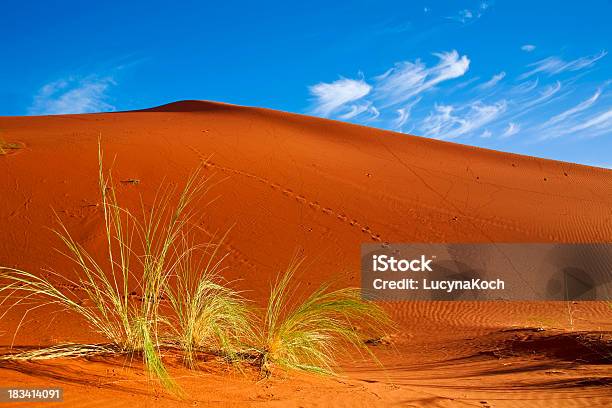 Desert Gras In Der Sandwüste In Namibia Stockfoto und mehr Bilder von Afrika - Afrika, Ausgedörrt, Australisches Buschland