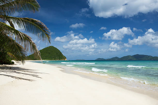 long bay e belmont ponto em tortola, ilhas virgens britânicas - long bay imagens e fotografias de stock