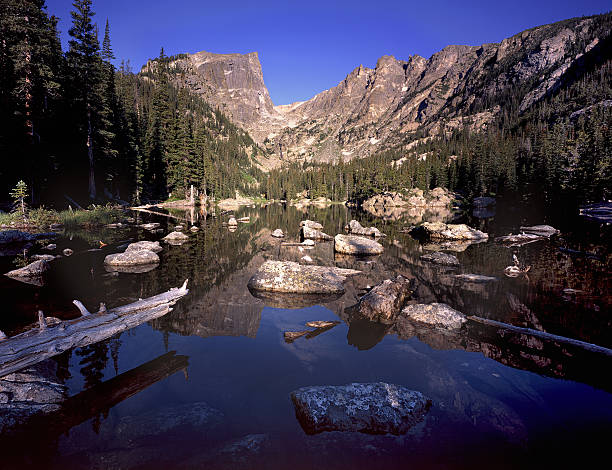 Dream Lake Summer Day "A collection of rocks and trees provide a foreground with reflections of Hallet Peak in Dream Lake.  8x10 view camera scanned film image provides a very high level of detail.  Taken in Rocky Mountain National Park, Colorado." rocky mountain national park photos stock pictures, royalty-free photos & images