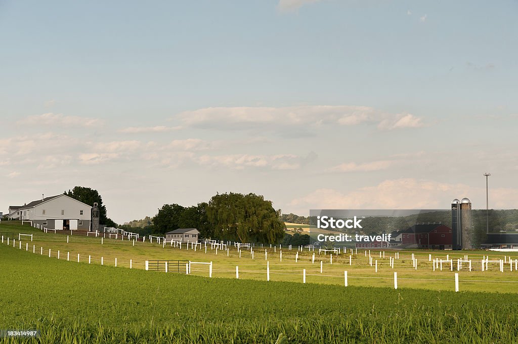 Agricoles Amish néerlandais de Pennsylvanie à Comté - Photo de Amish libre de droits