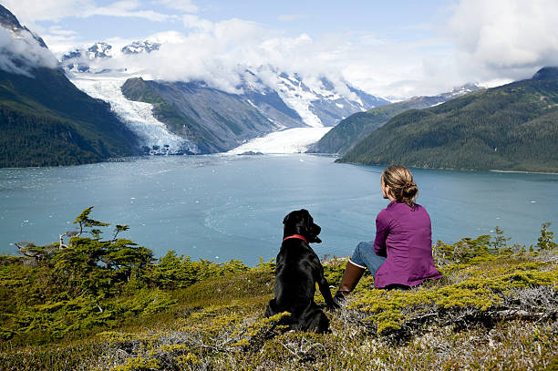 mulher ao ar livre do alasca - dog tranquil scene pets animals and pets imagens e fotografias de stock