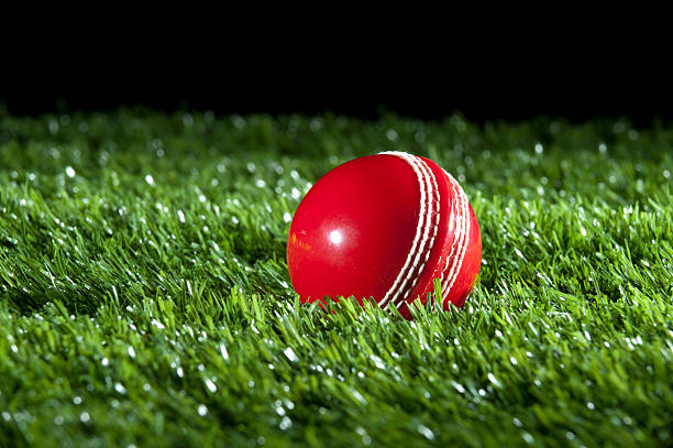 istock Cricket ball on the grass 183415131