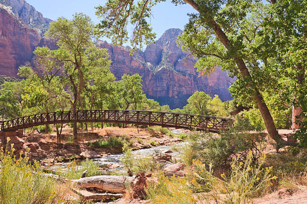 Landscape of the Virgin River captured with motion blur and illuminated with reflected color from sunlit summer trees and cliff, Zion National Park, Utah, USA