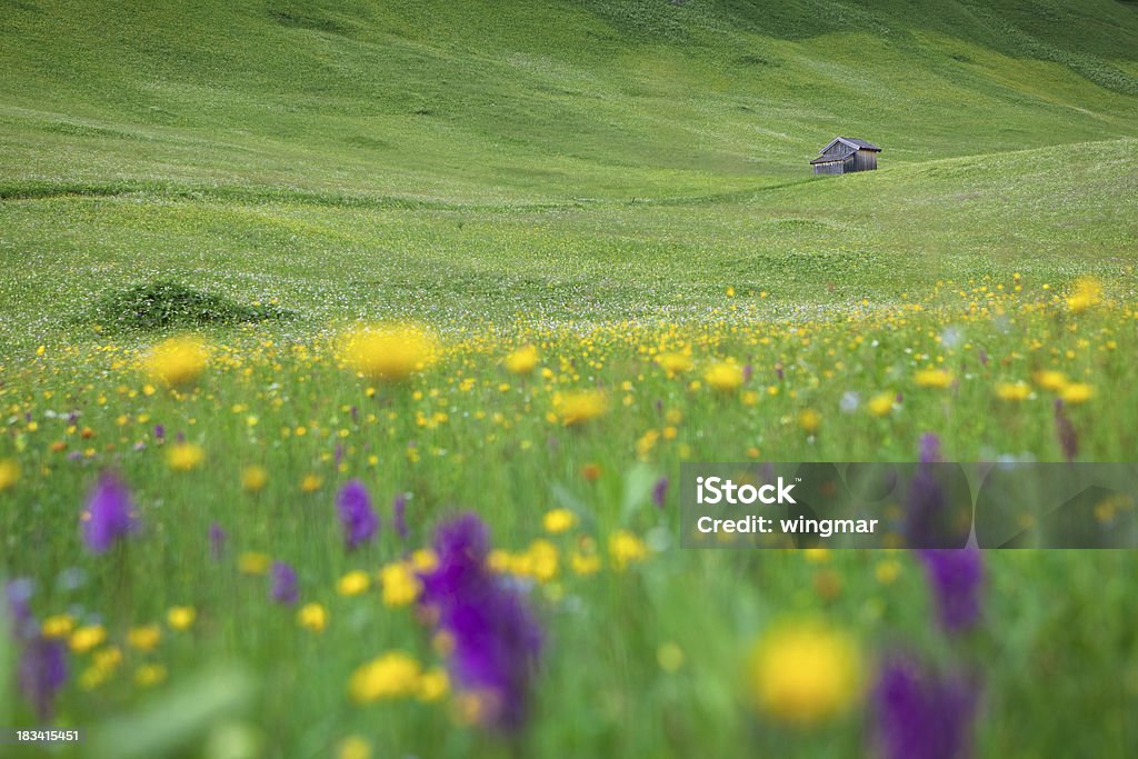 lone hut com defocused meadow em primeiro plano, tirol, Áustria - Foto de stock de Abstrato royalty-free