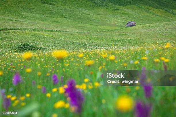 Foto de Lone Hut Com Defocused Meadow Em Primeiro Plano Tirol Áustria e mais fotos de stock de Abstrato