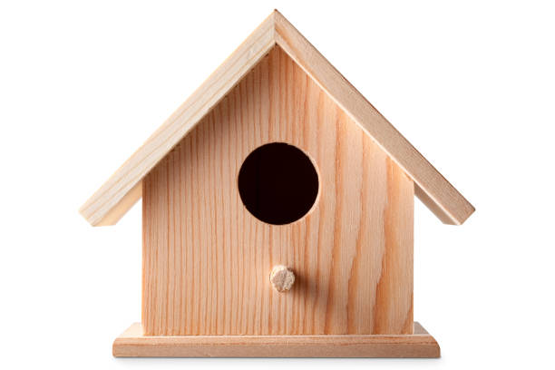 casetta per gli uccelli - birdhouse animal nest house residential structure foto e immagini stock