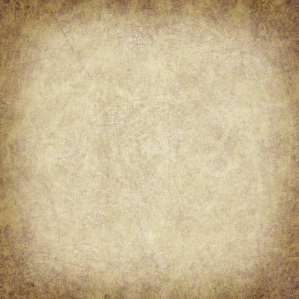 istock High Resolution Antique Animal Skin Parchment Grunge Texture 183415547