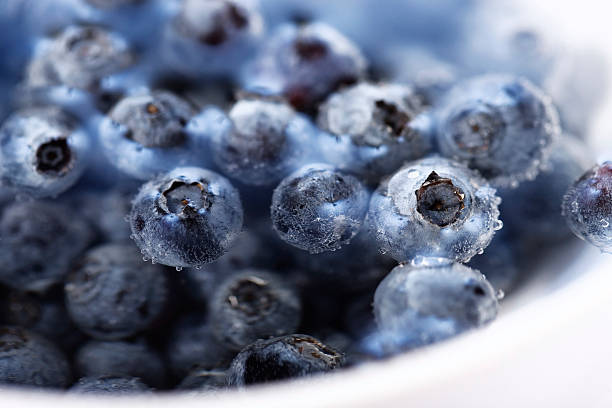 Blueberries stock photo