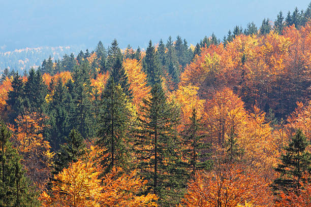 istock autumn in the mountains 183415818