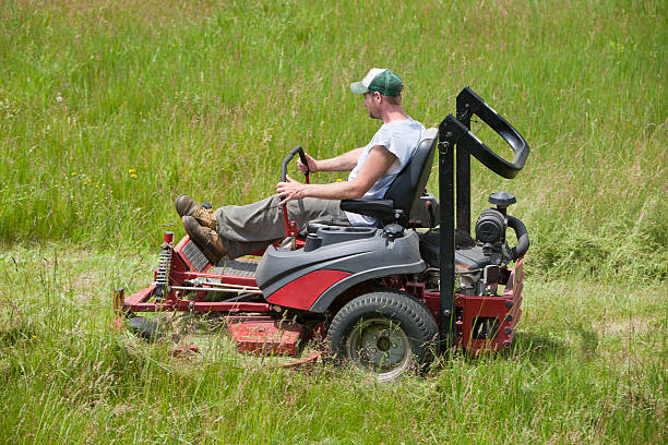 new big tractor, before harvest
