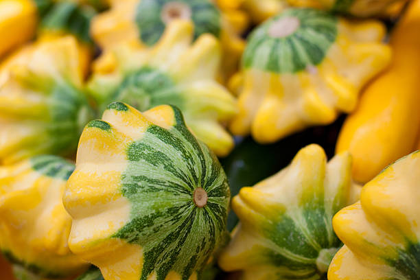 Giallo e verde Zucchino estivo - foto stock