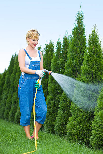 istock Young woman watering garden 183416065