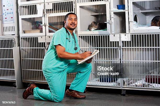 Worker In Animal Clinic Stock Photo - Download Image Now - Veterinarian, Animal Shelter, Technician