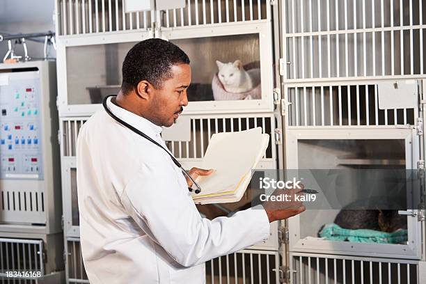 Foto de Veterano Com Animais De Estimação Em Clínica e mais fotos de stock de Veterinário - Veterinário, Canil - Equipamento para animal de estimação, Gato doméstico