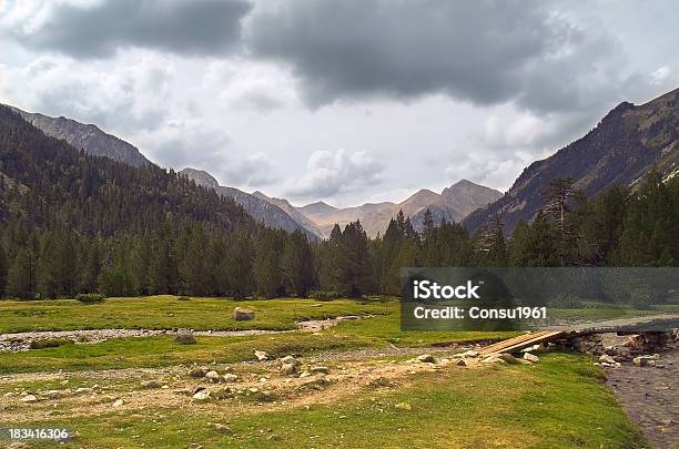 Aiguadassi Prats D Foto de stock y más banco de imágenes de Aire libre - Aire libre, Arbolado, Arboleda