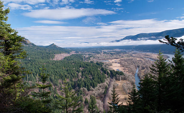 columbia river gorge - oregon forest hydroelectric power columbia river imagens e fotografias de stock