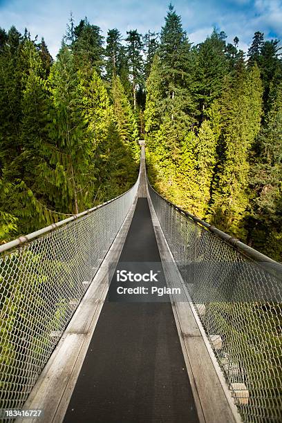 Puente Colgante De Capilano Foto de stock y más banco de imágenes de Columbia Británica - Columbia Británica, Geografía física, Pino - Conífera