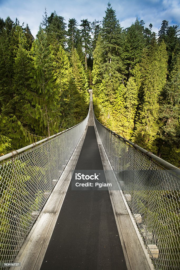 Подвесной мост Капилано - Стоковые фото Британская Колумбия роялти-фри