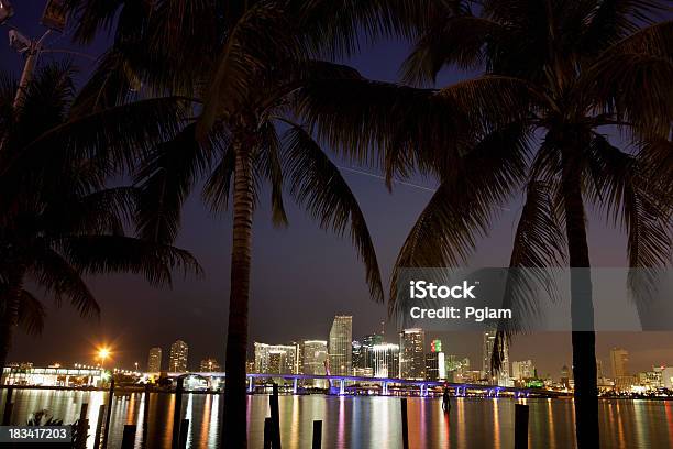 Miami Florida Skyline At Night Stock Photo - Download Image Now - Apartment, Architecture, Biscayne Bay