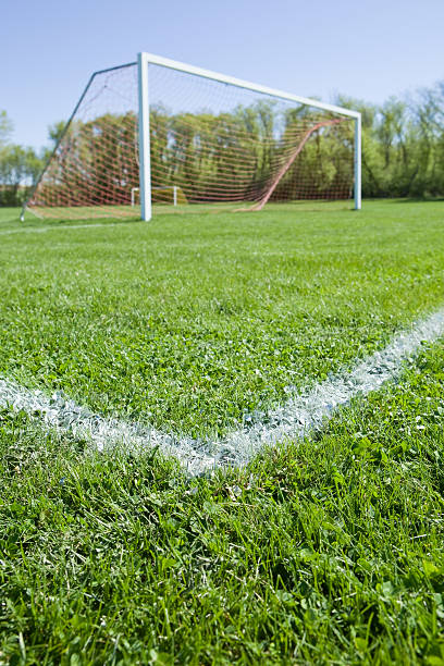 istock Freshly Painted White Soccer Stripes on Grass with Goal 183417249