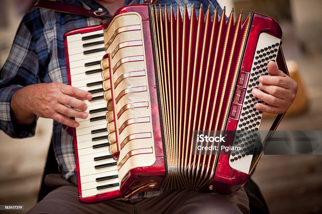 Homem Jogando accordian - Royalty-free Acordeão - Instrumento Foto de stock