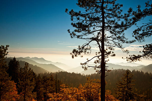 ミストのシエラネバダ山脈 - stanislaus national forest ストックフォトと画像