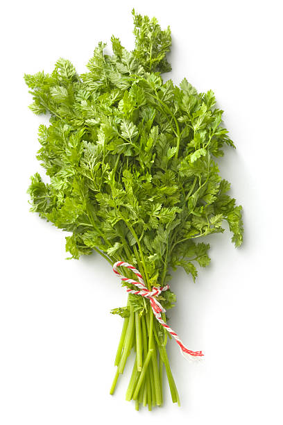 erbe aromatiche fresche: cerfoglio - green food chervil herb foto e immagini stock