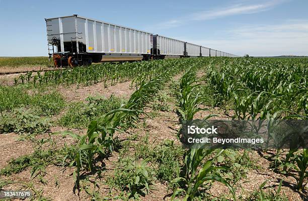 Railroad Ore Waggons Geparkt Corn Field Stockfoto und mehr Bilder von Kohle - Kohle, Landwirtschaft, Untersicht