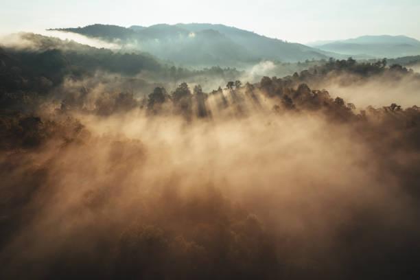 istock Foggy sunrise in the mountains in summer 1834177404