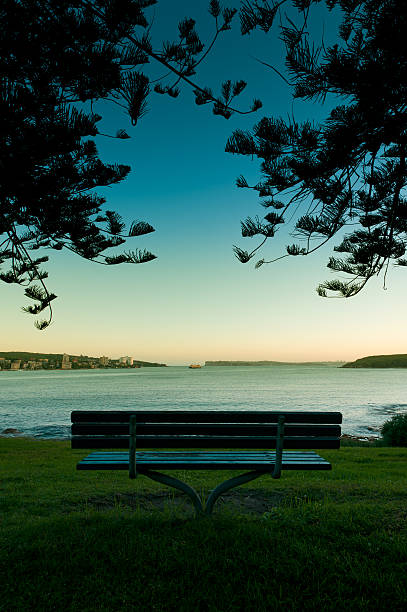 istock Seat in serenity by the ocean 183418184