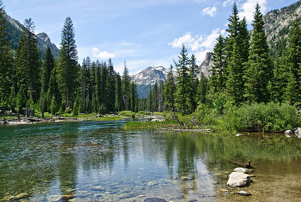 istock Cascade Creek and Canyon 183418188