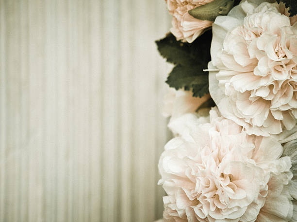 istock Vintage Hollyhock Flowers 183418463