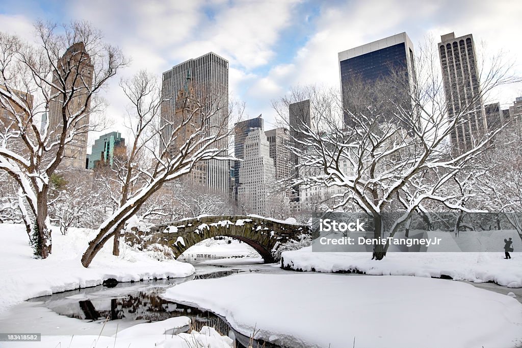 Inverno a New York City - Foto stock royalty-free di New York - Città