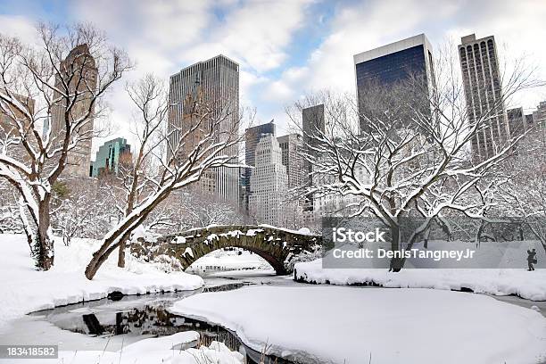 Inverno A New York City - Fotografie stock e altre immagini di New York - Città - New York - Città, New York - Stato, Inverno