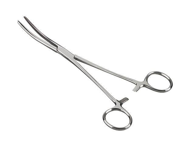 Surgical Forceps 1 Surgical Forceps isolated on a white background forceps stock pictures, royalty-free photos & images
